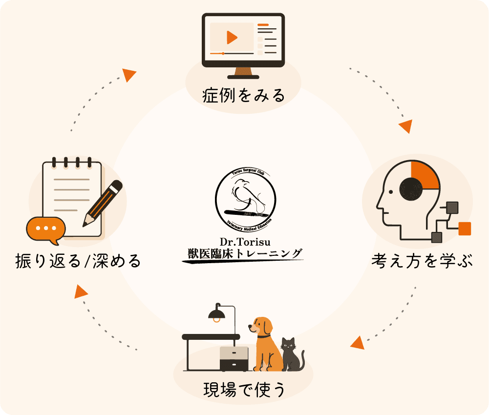 Dr.Torisu 獣医臨床トレーニングのイメージ